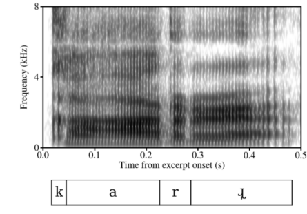 Spectrogram of a trill [r] between a vowel and an approximant